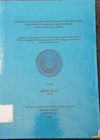Image of Laporan PKL pada Biro Keu Setda NTT